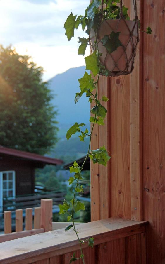 Haus Am Salz Mit Sauna *